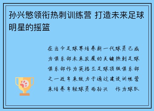 孙兴慜领衔热刺训练营 打造未来足球明星的摇篮